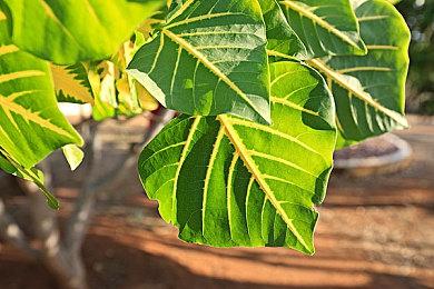 《轩辕剑7》NS版宣布延期至明年春 研发最后阶段