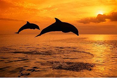 《暗区突围：无限》13分钟实机演示 海外测试开启