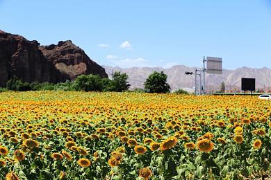 育碧透露《碧海黑帆》取得进展 最新版已获显著优化